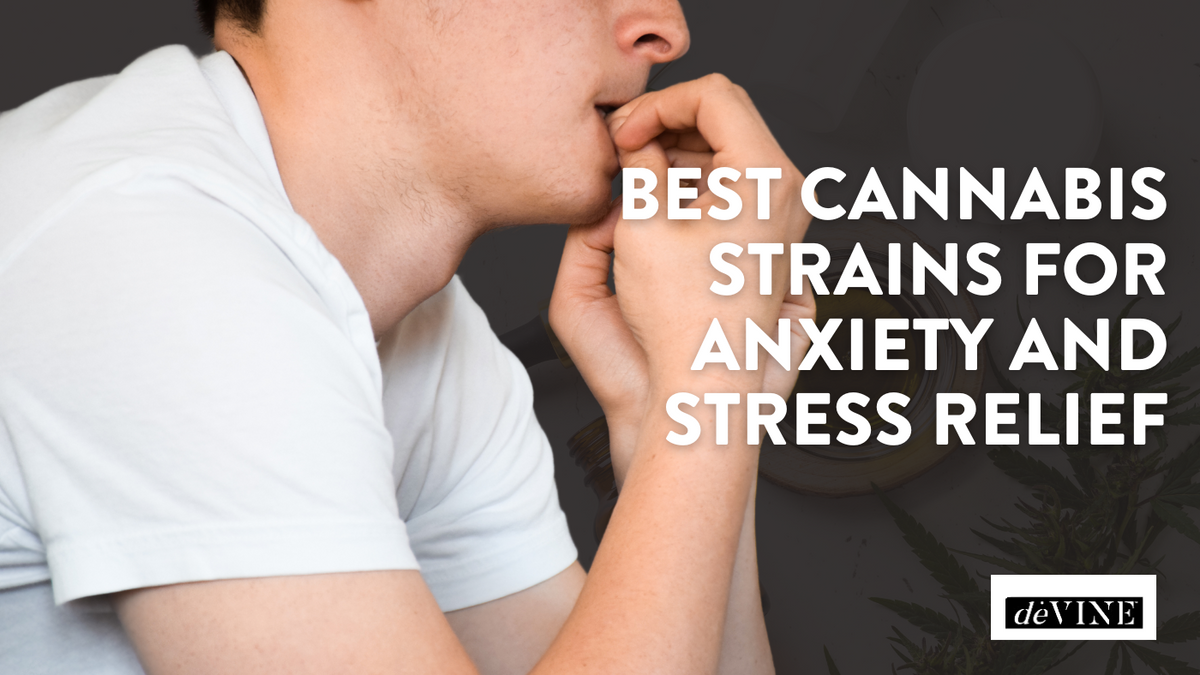 Best Cannabis Strains for Anxiety and Stress Relief – devine