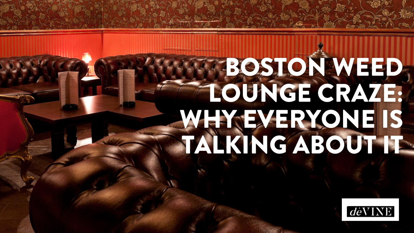 Boston Weed Lounge Craze: Why Everyone Is Talking About It