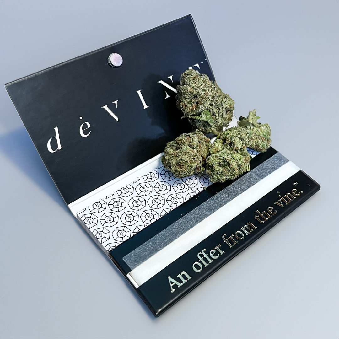 An open black booklet labeled DeVINE Wellness displays patterned rolling papers and Medellin Sativa Flower cannabis buds, celebrated for their potent effects and euphoric high.