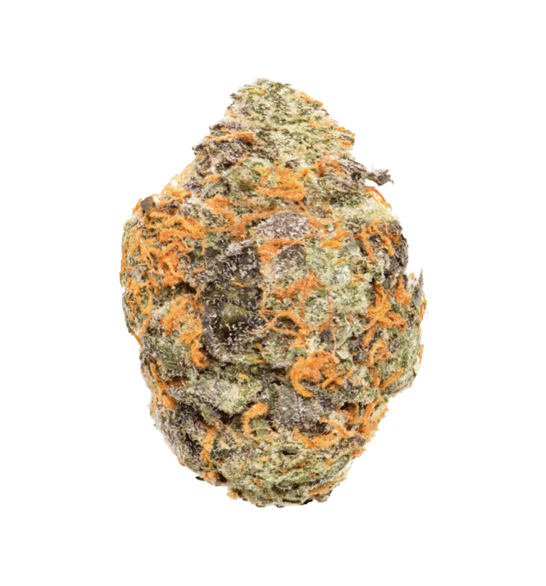 A close-up of Hemp Livings Monkey Pie Indica Flower, highlighting its green and purple cannabis bud, coated in frosty trichomes and vibrant orange hairs, isolated on a white background.