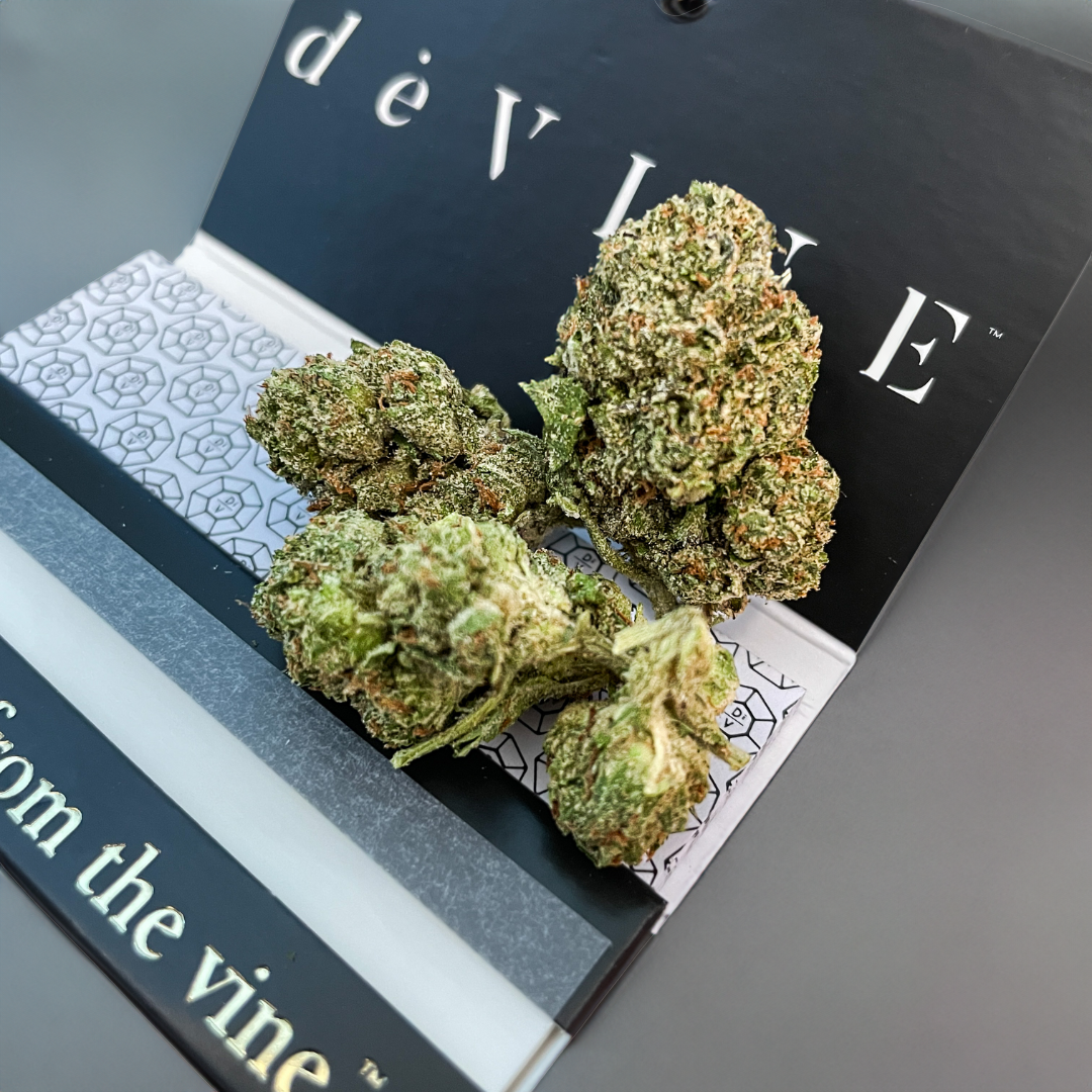 Several dense, green cannabis buds with frosty trichomes rest on an open black and white DeVINE Wellness package labeled from the vine, highlighting the Medellin Sativa Flower strain against a gray background.