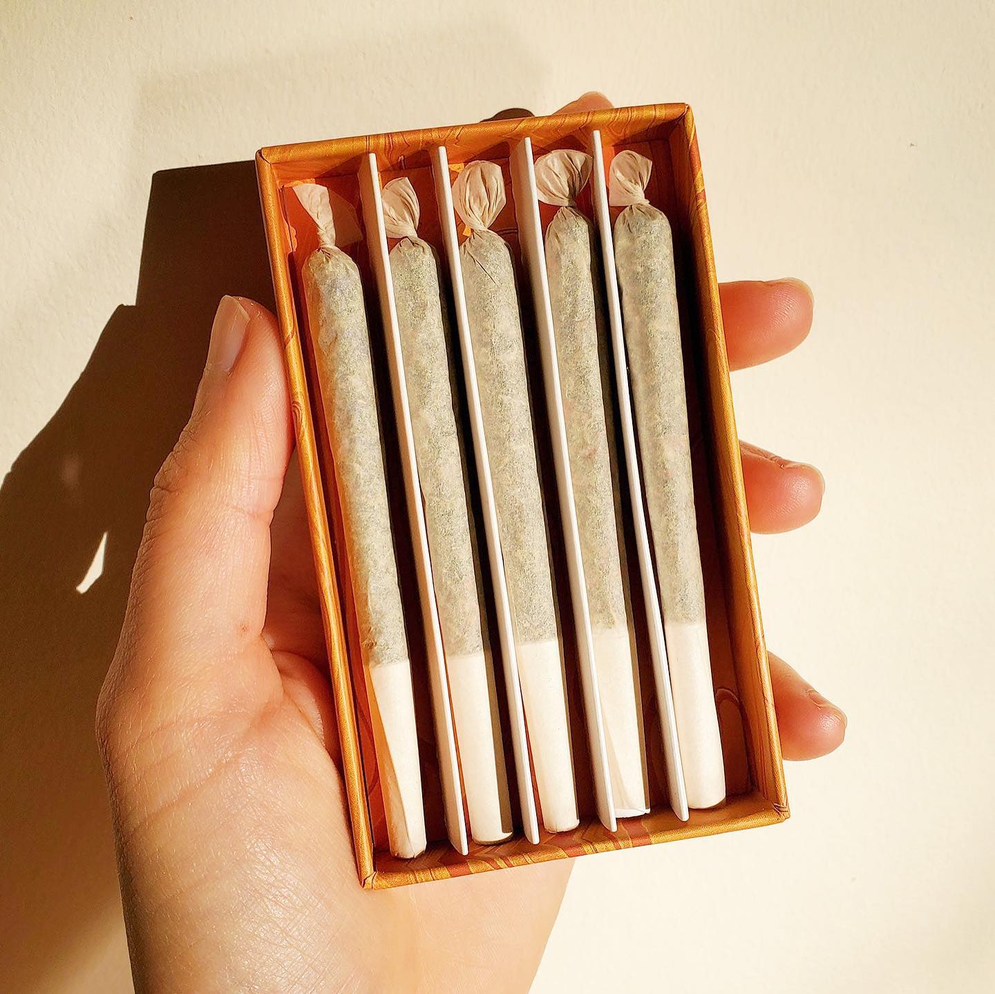 A hand holds an open Puff Herbals Signature Spliffs box, displaying five neatly rolled hemp pre-rolls with white filters in a single row against a light background.