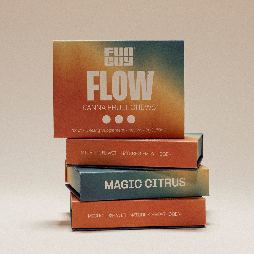 Three colorful boxes of Fun Guy Flow Fruit Chews are stacked, with Flow on the top and Magic Citrus below. The packaging shows an orange and blue gradient, highlighting this mood-enhancing supplement.