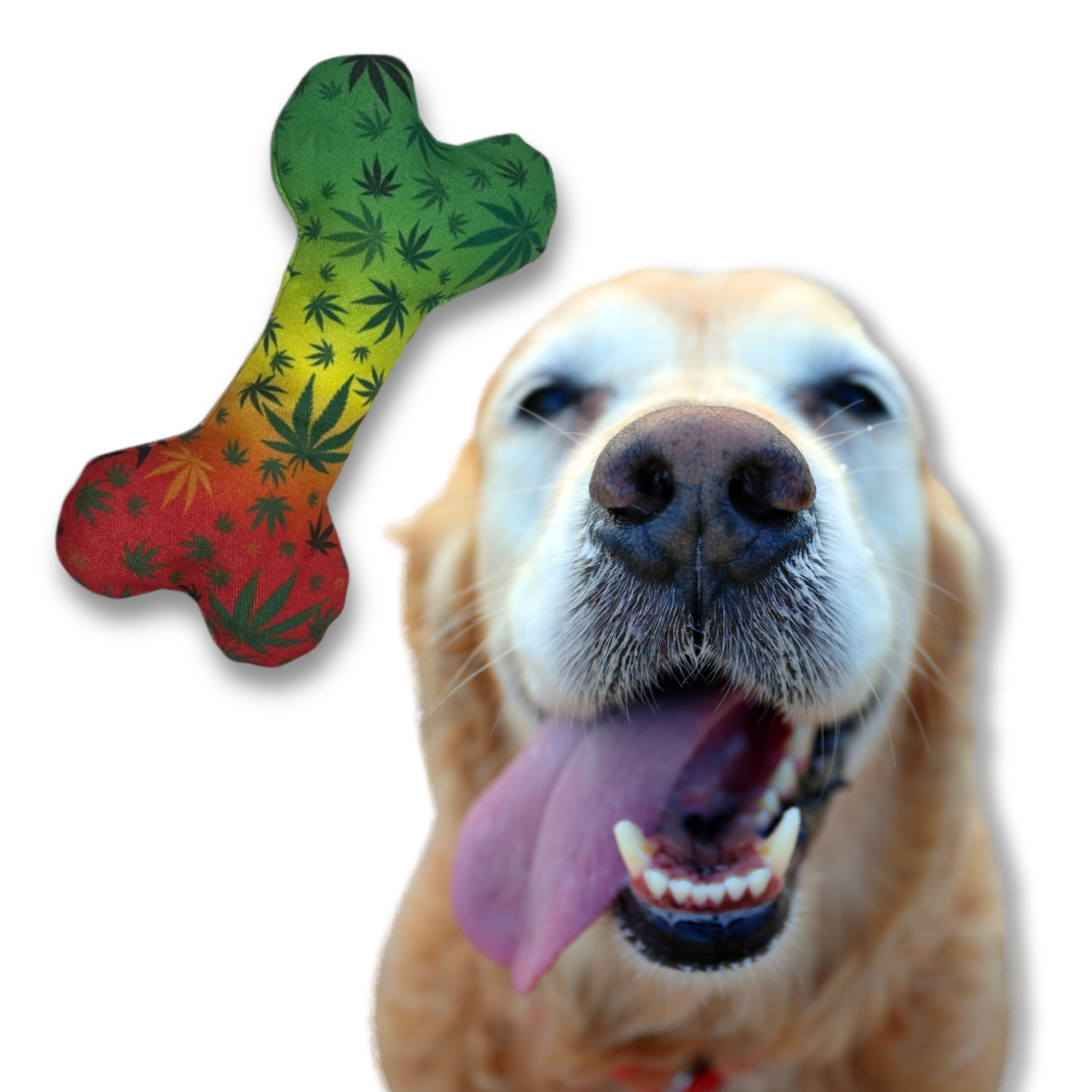 A happy golden retriever with its tongue out is next to the PAW:20 Stoned to da Bone Canvas Squeaky Toy, a bone-shaped dog toy decorated in red, yellow, and green with leaf patterns.