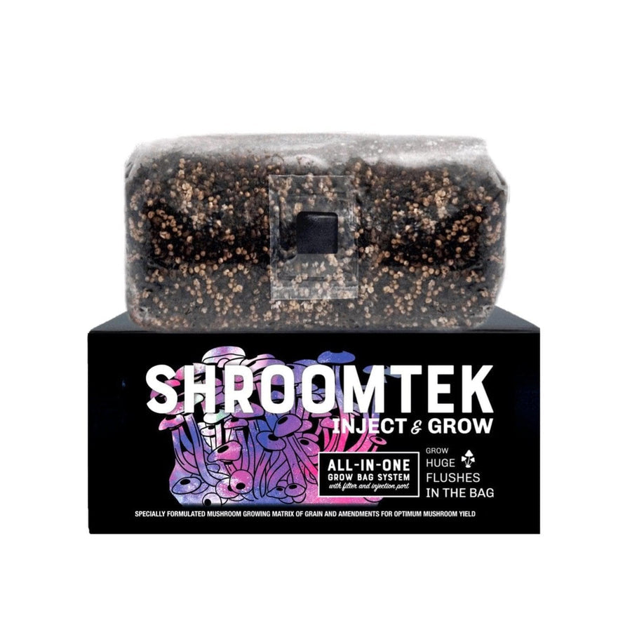 A Shroomtek Grow Bag by Shroomtek rests on its box with striking graphics and bold text. The clear bag shows the substrate and steady mycelial growth inside.