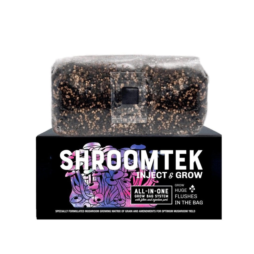 A Shroomtek Grow Bag by Shroomtek rests on its box with striking graphics and bold text. The clear bag shows the substrate and steady mycelial growth inside.