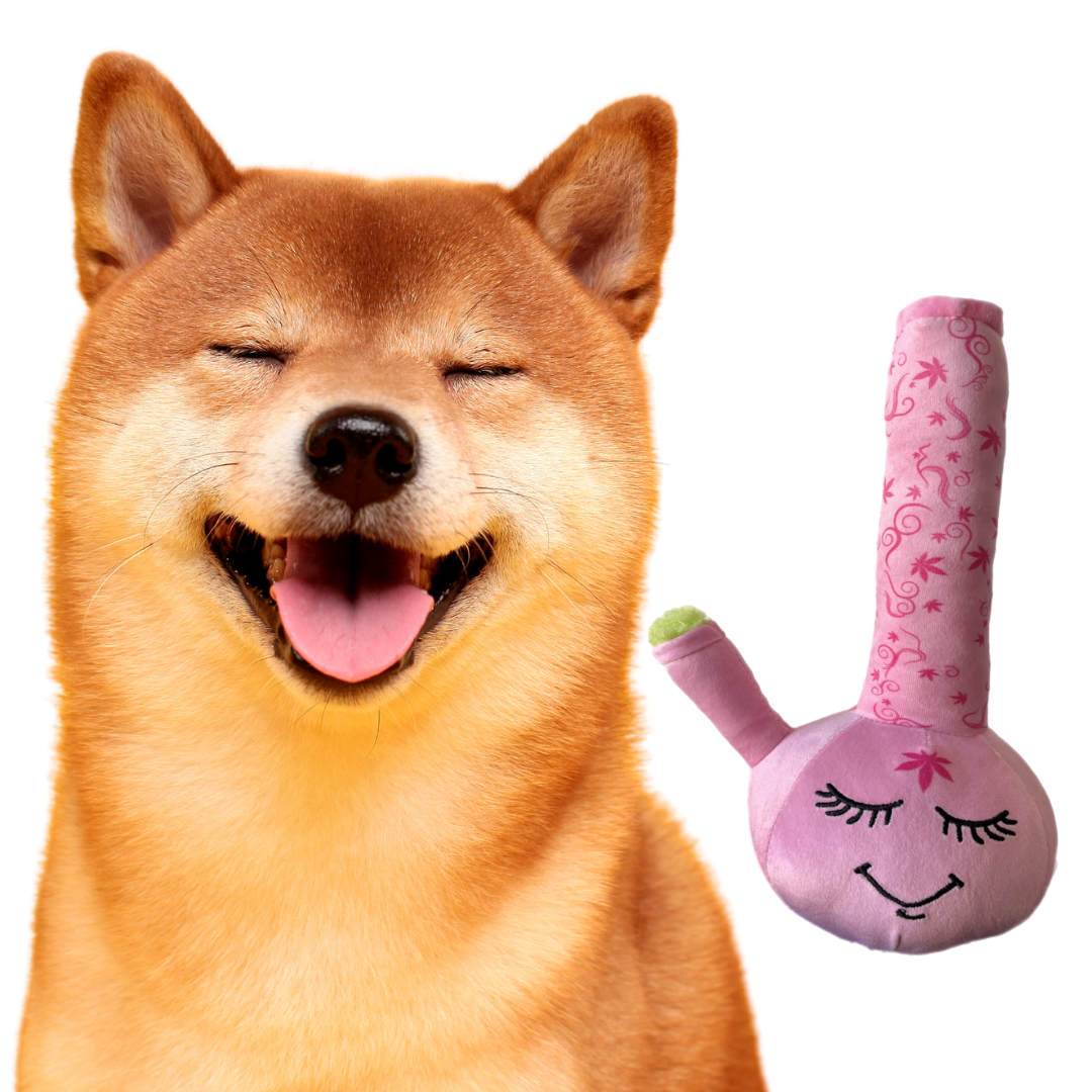 A happy Shiba Inu with its tongue out sits next to the PAW:20 Harmony Bong 420 Dog Toy, a pink toy shaped like a bong and decorated with a smiling face and floral patterns.