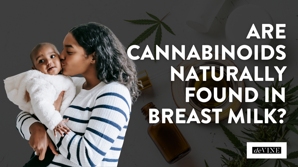 Are Cannabinoids Naturally Found in Breast Milk?