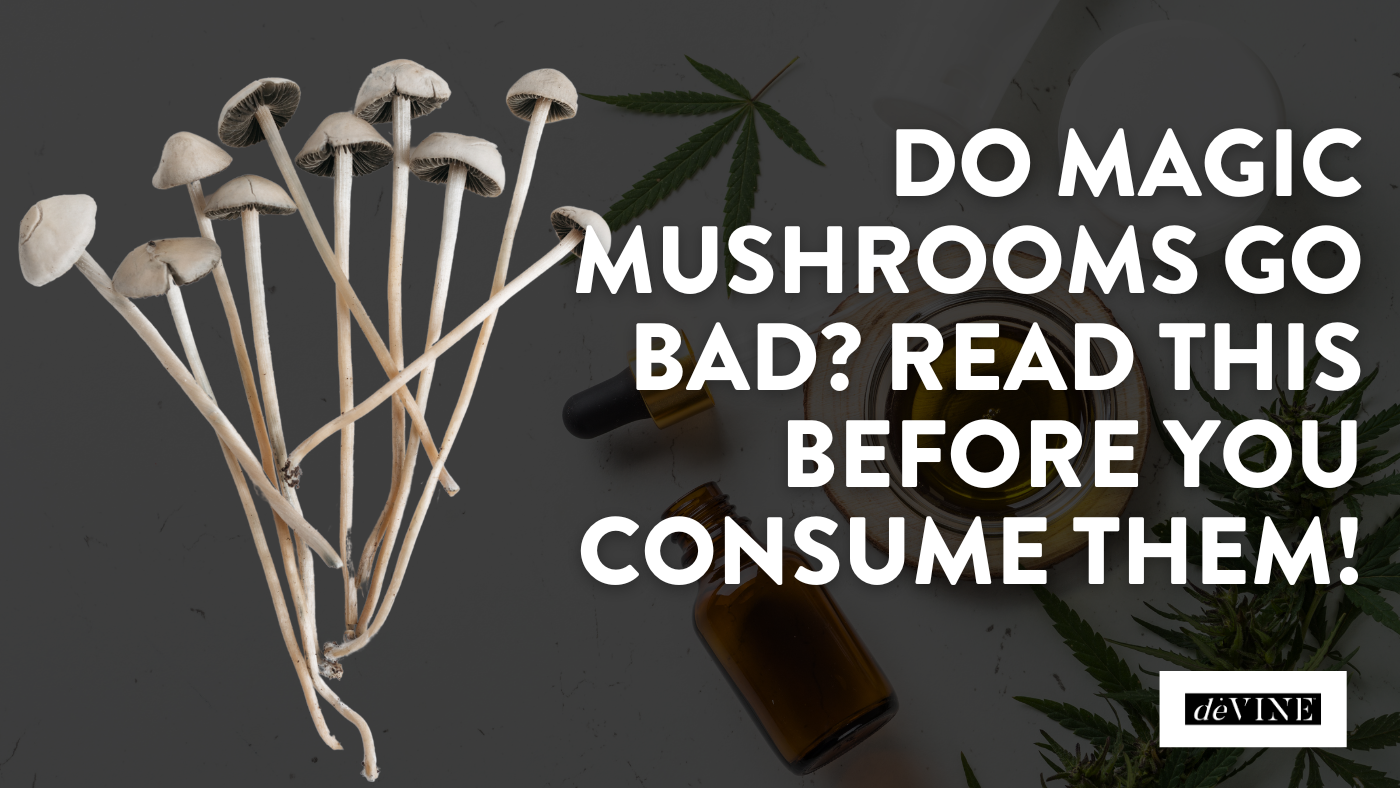 Do Magic Mushrooms Go Bad?