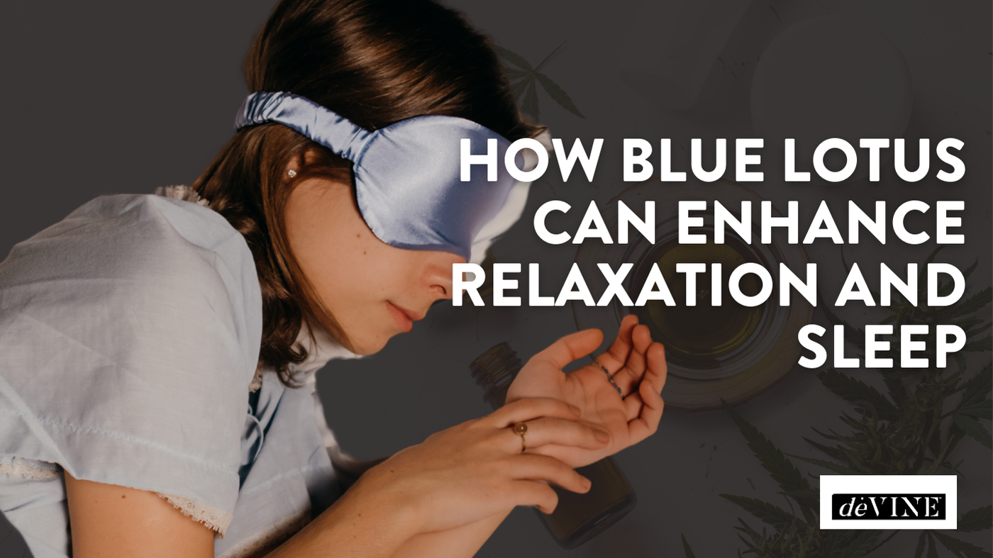 Blue Lotus Benefits: Enhance Sleep, Relaxation & Mood | deVINE Boston Blue Lotus Benefits: Enhance Sleep, Relaxation & Mood | deVINE Boston