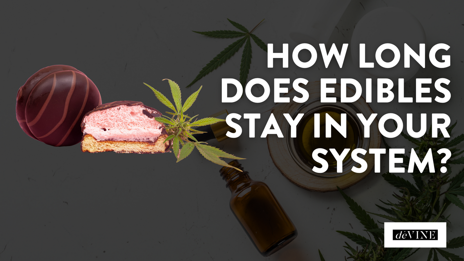 How Long Does A 5mg Edible Last In Your System How Long Does Edibles Stay in Your System? – devine