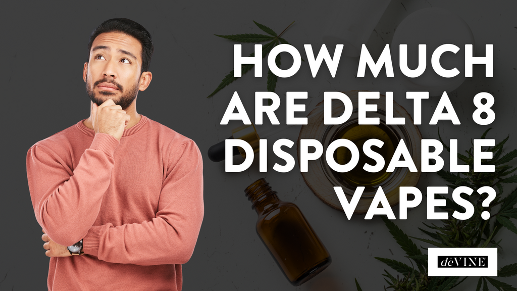 How Much Are Delta 8 Disposable Vapes?