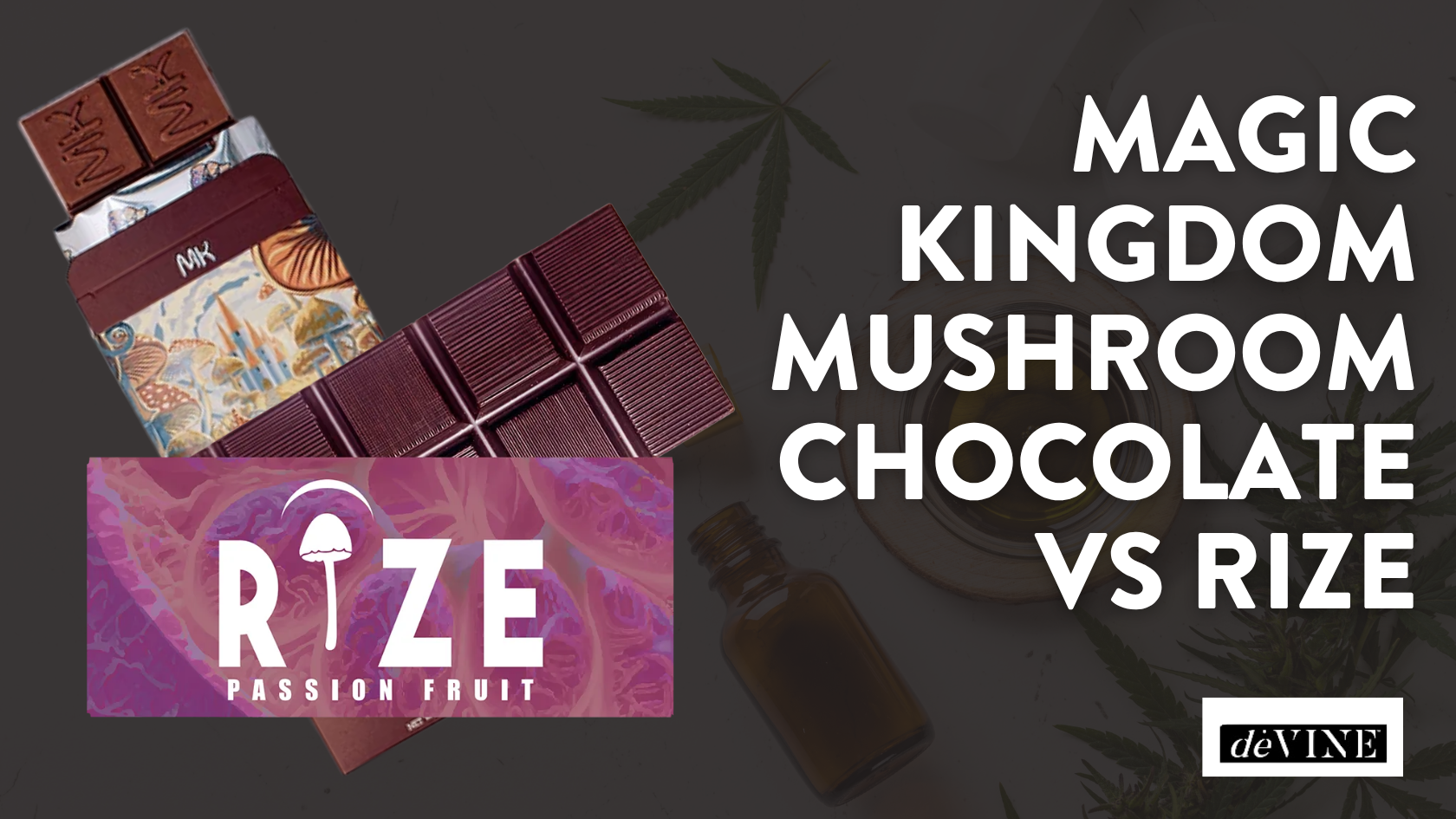 Magic Kingdom Mushroom Chocolate vs Rize: Conflicting Claims, Clear Answers