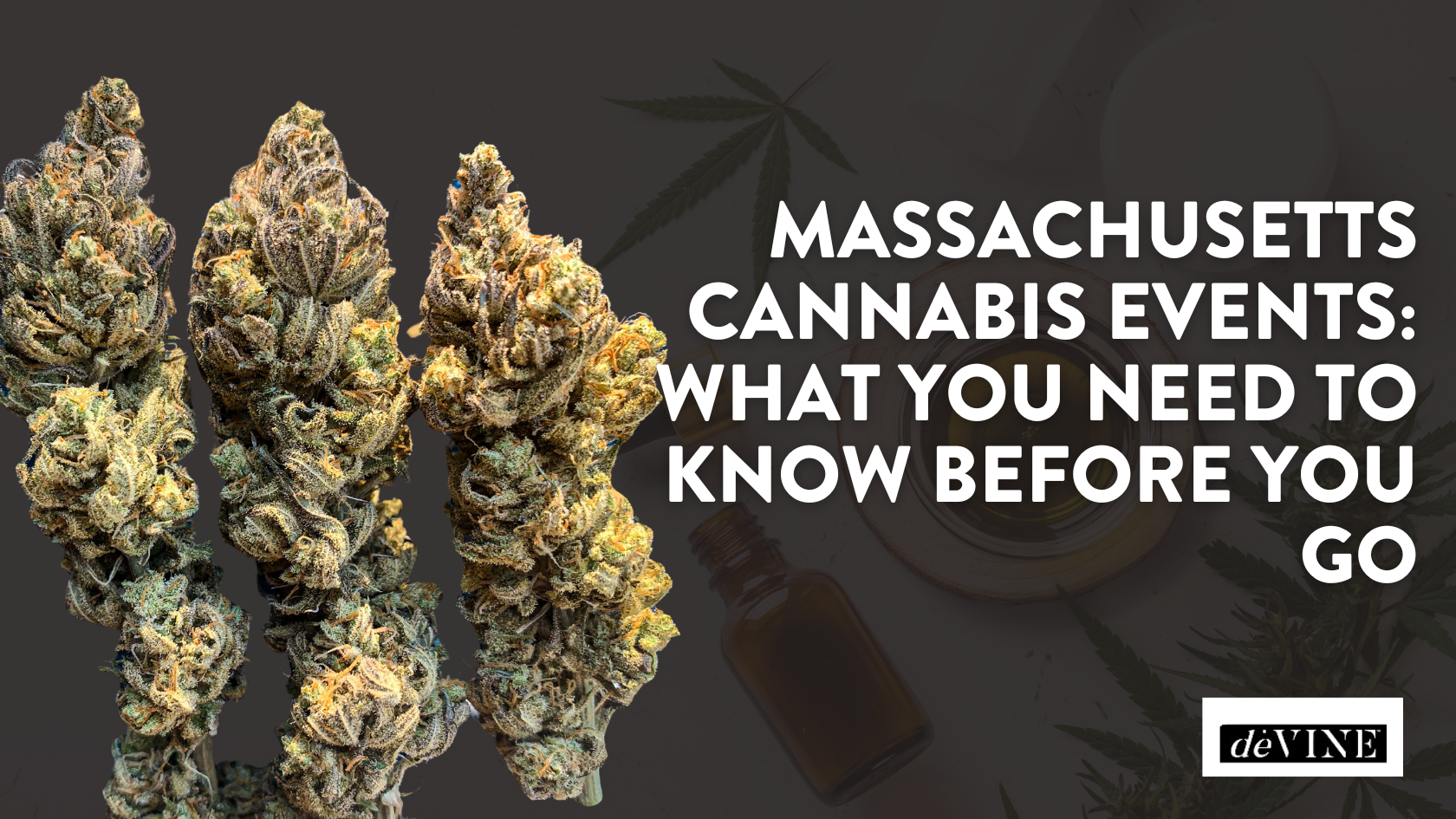 Massachusetts Cannabis Events