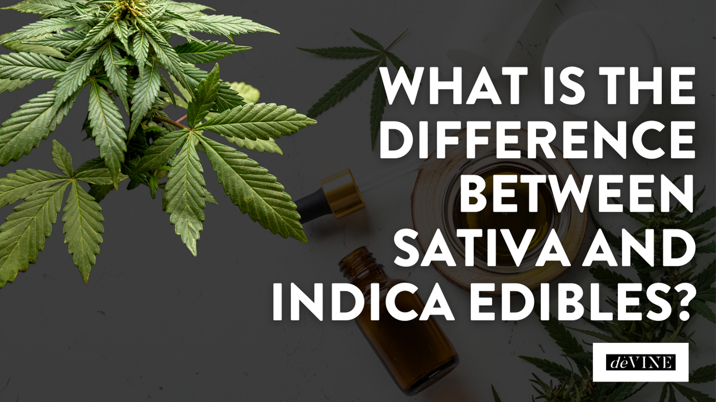 What Is the Difference Between Sativa and Indica Edibles?