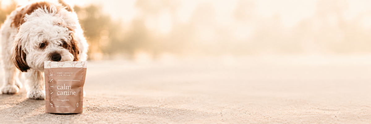 deVINE Calm Canine CBD for Dogs
